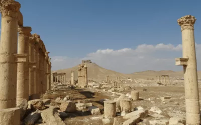 Sélection Syrie et Proche-Orient
